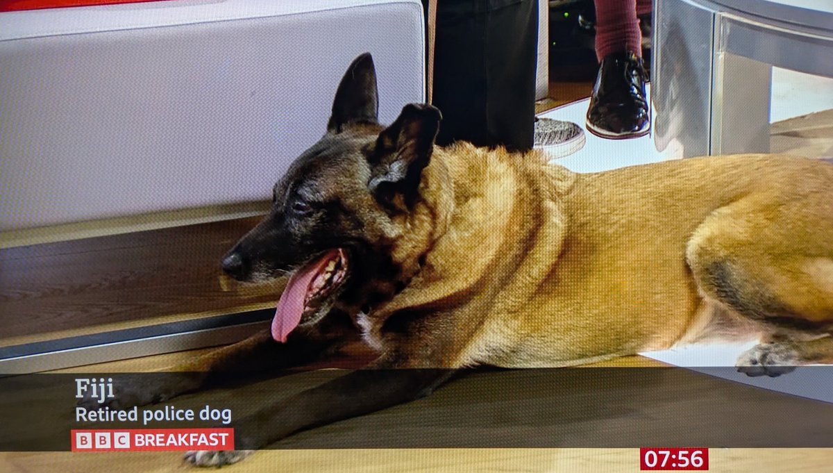 Caron Blay tweet media