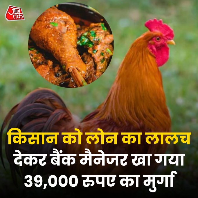 इन्हीं कुछ घटिया किस्म के बैंक मैनेजरों की वजह से सारे बैंक स्टाफ वाले गाली सुनते है।

इन जैसों का एजेंडा सिर्फ लोगों को लूटना है , ऐसे लोगों को नौकरी से तत्काल बर्खास्त कर देना चाहिए।

वरना ऐसी घटनाएं होती रहेंगी और इन जैसों की वजह से ईमानदार बैंक कर्मचारियों की ईमेज डेंट होती