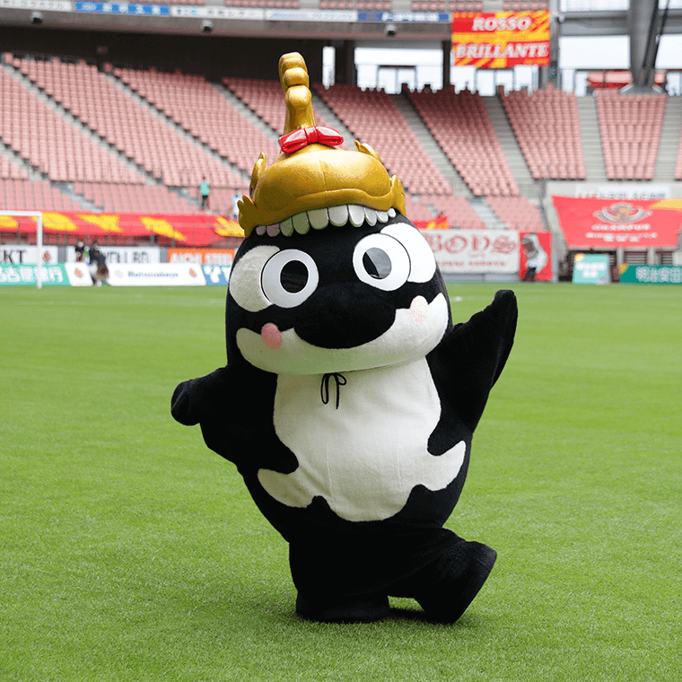 8/3(日) メグリア三好店にて #鯱の大祭典 連携イベント開催✨ 金鯱