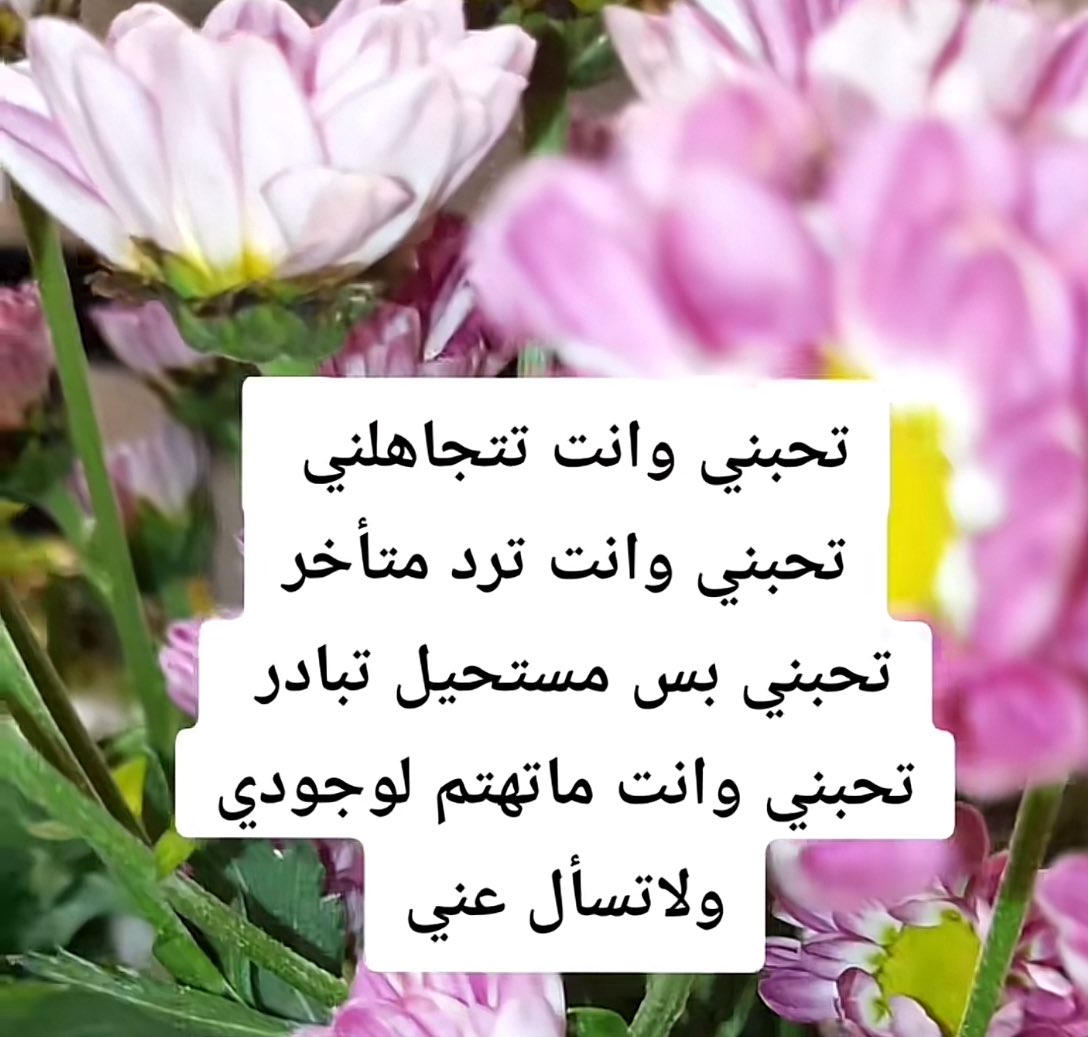 ••

هل هذا مفهوم الحب 

         عندك ؟؟؟!!!

••
