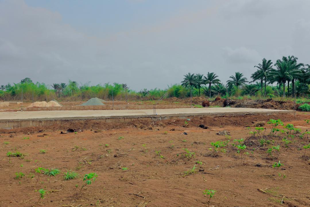Hon. Wakajugbe (@mrwakajugbe) on Twitter photo Housing is a very critical sector of government and this is why HE <a href="/RtHonSheriff/">Rt Hon Sheriff Oborevwori</a> is leaving no stone unturned in ensuring that affordable housing is provided for the demography of Deltans who can't afford good housing. Just recently, he approved the constitution of terrace Housing is a very critical sector of government and this is why HE <a href="/RtHonSheriff/">Rt Hon Sheriff Oborevwori</a> is leaving no stone unturned in ensuring that affordable housing is provided for the demography of Deltans who can't afford good housing. Just recently, he approved the constitution of terrace