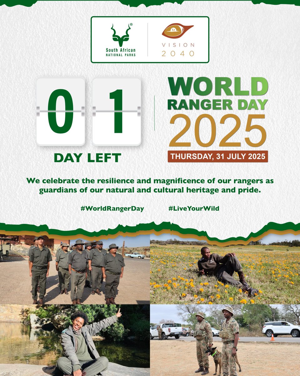 We honour the courage and contribution of rangers as we count down to World Ranger Day. #WorldRangerDay #LiveYourWild