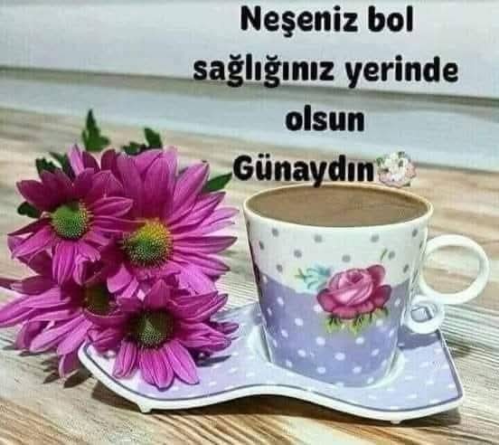 aydinli_nermin's tweet photo. https://t.co/P4eGAF56mN