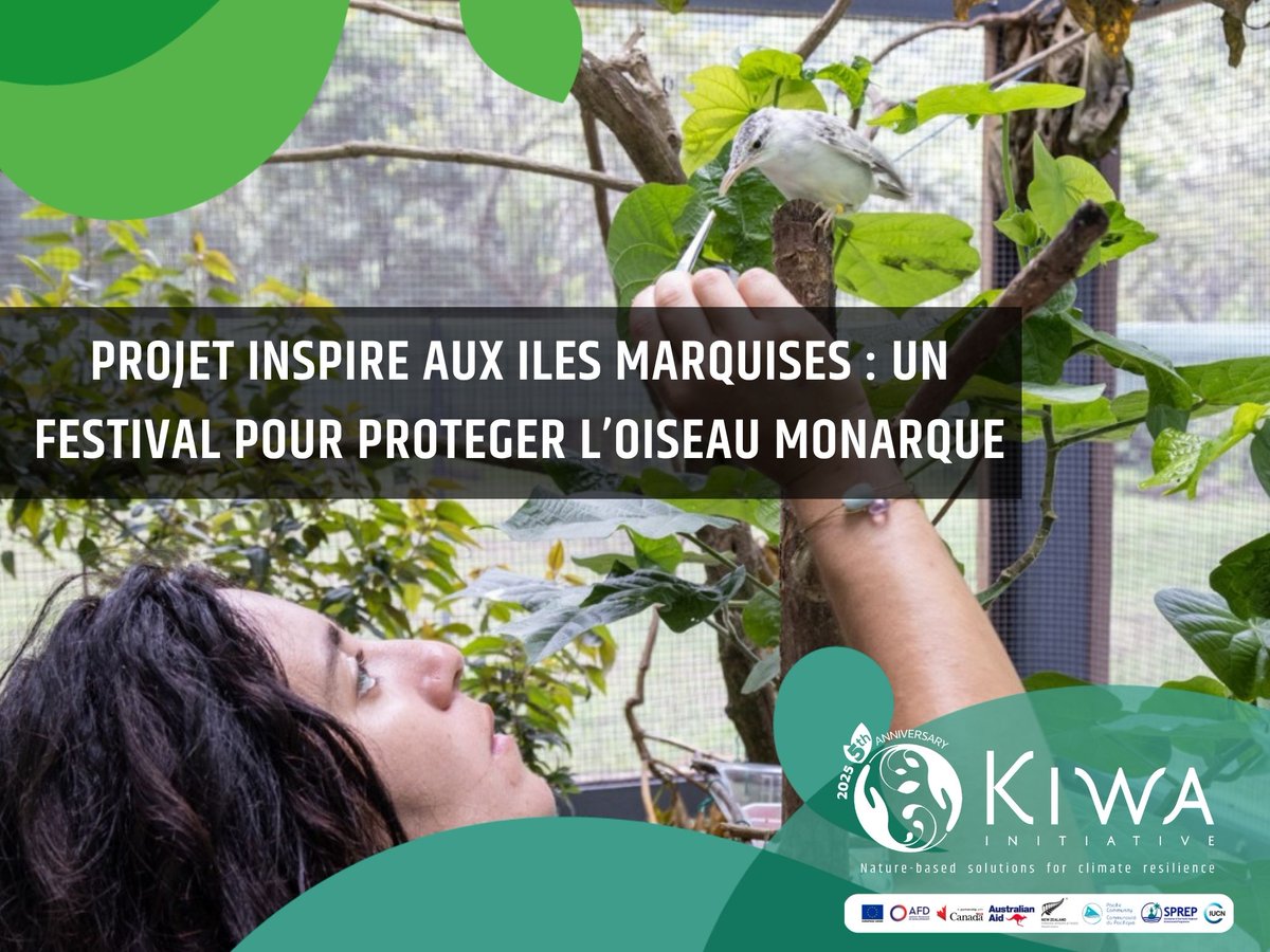 🐦 Le Festival du Monarque arrive à Fatu Iva 🇵🇫 les 2 &amp; 3 août avec Kiwa #INSPIRE!
Partez à la decouverte du ‘Ōmā‘ō ke‘eke‘e, oiseau en danger critique.
Organisé par #SOP Manu, #BirdLife &amp; #KiwaInitiative
 👉 kiwainitiative.org
 🇫🇷🇪🇺🇦🇺🇨🇦🇳🇿  #FatuIva #Pacifique #SfN