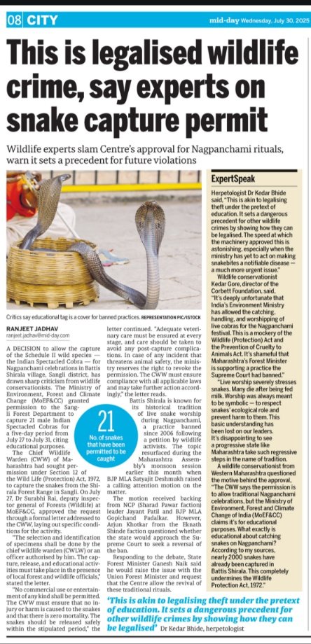 Ranjeet Shamal Bajirao Jadhav (@ranjeetnature) on Twitter photo Maharashtra: This is legalised wildlife crime, say experts on snake capture permit.
mid-day.com/mumbai/mumbai-…
#NagPanchami2025 #livesnakeshow <a href="/mid_day/">Mid Day</a> <a href="/kedargore/">Kedar Gore</a> <a href="/MahaForest/">Maha Forest Official</a> <a href="/WCCBHQ/">Wildlife Crime Control Bureau</a> <a href="/moefcc/">MoEF&CC</a> <a href="/IndianSnakes/">Indiansnakes.org</a> <a href="/prernabindra/">prerna singh bindra 🐘🐅🐾</a> <a href="/BittuSahgal/">Bittu Sahgal</a> <a href="/kaushal143all/">kaushal.d.dubey</a> Maharashtra: This is legalised wildlife crime, say experts on snake capture permit.
mid-day.com/mumbai/mumbai-…
#NagPanchami2025 #livesnakeshow <a href="/mid_day/">Mid Day</a> <a href="/kedargore/">Kedar Gore</a> <a href="/MahaForest/">Maha Forest Official</a> <a href="/WCCBHQ/">Wildlife Crime Control Bureau</a> <a href="/moefcc/">MoEF&CC</a> <a href="/IndianSnakes/">Indiansnakes.org</a> <a href="/prernabindra/">prerna singh bindra 🐘🐅🐾</a> <a href="/BittuSahgal/">Bittu Sahgal</a> <a href="/kaushal143all/">kaushal.d.dubey</a>