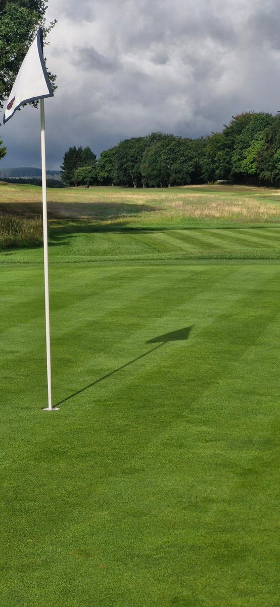 jojo10580's tweet photo. Hand cutting morning @hallamshiregolf https://t.co/Q571FxE7MP