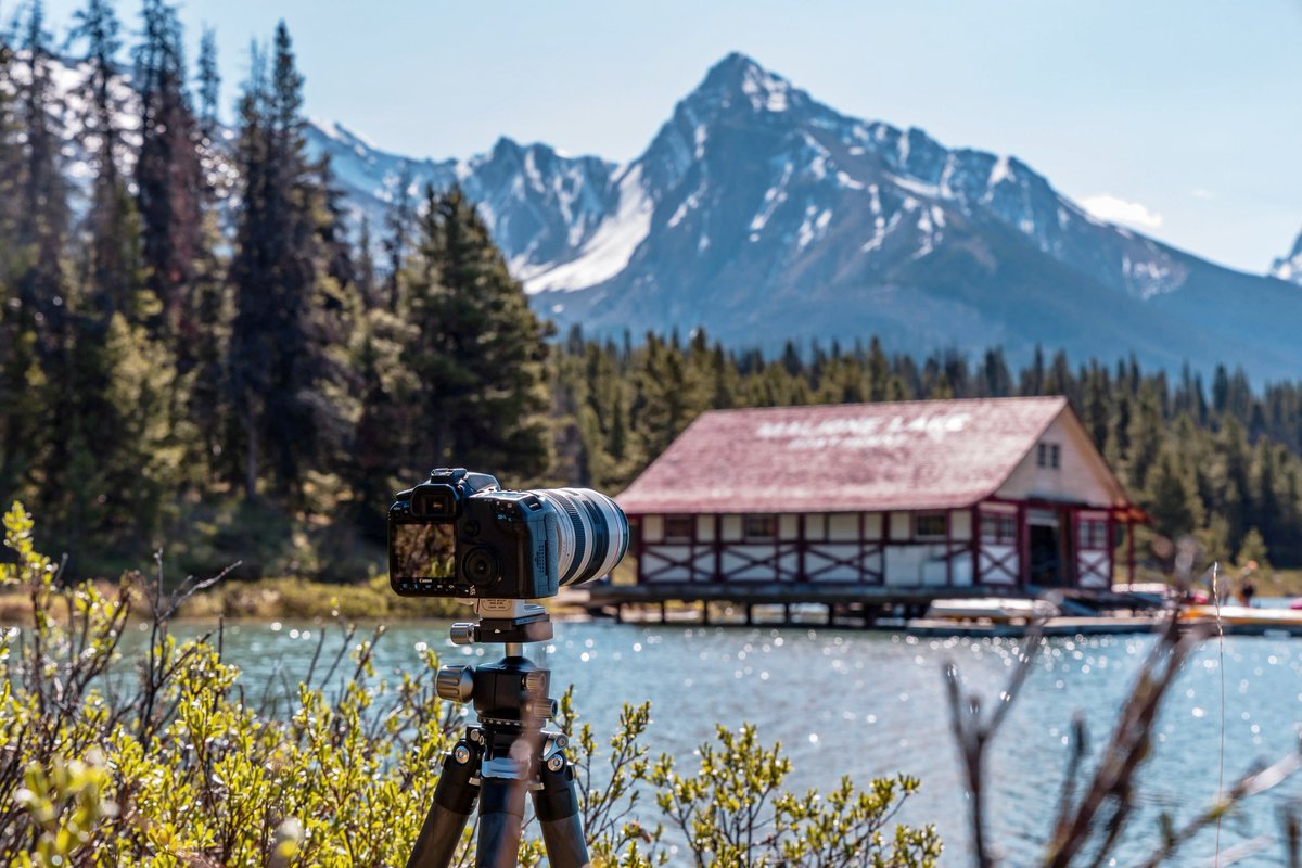 Widetrade_JP's tweet image. 写真家DanSchykulskiが作品づくりの“相棒”に選ばれた三脚。カナディアンロッキーの極限環境でもブレない一枚を。
LQ-365C × LH-47
✔️ 強風対応カーボン脚（36mm）
✔️ 超ローアングル対応・逆さ設置OK
✔️ 193cm・15kg耐荷重・金属スパイク付
🔗item.rakuten.co.jp/widetrade/4573…
#カメラ機材  
#三脚 #photogear