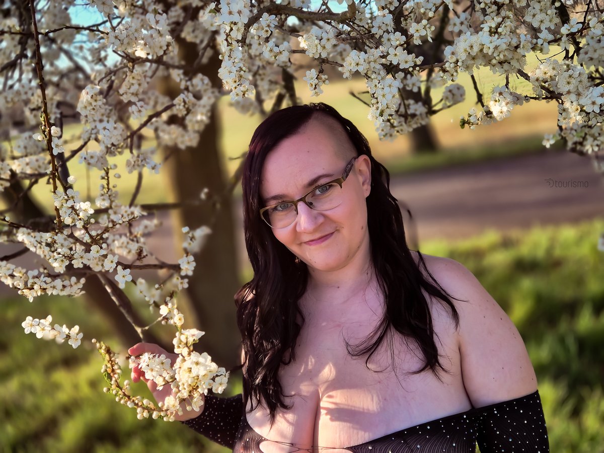 Wo sind meine kleinen Paypigs? Das nächste Onlineshopping steht an...