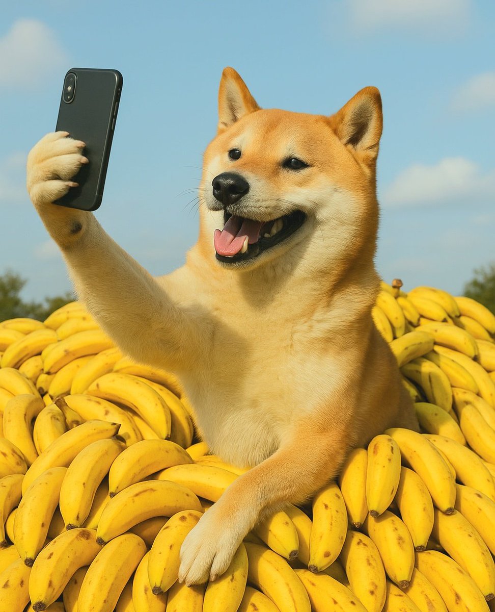 This dog is made for the banana zone.

$Selfie supercycle.

<a href="/SelfieDog_SOL/">Selfie Dog</a>