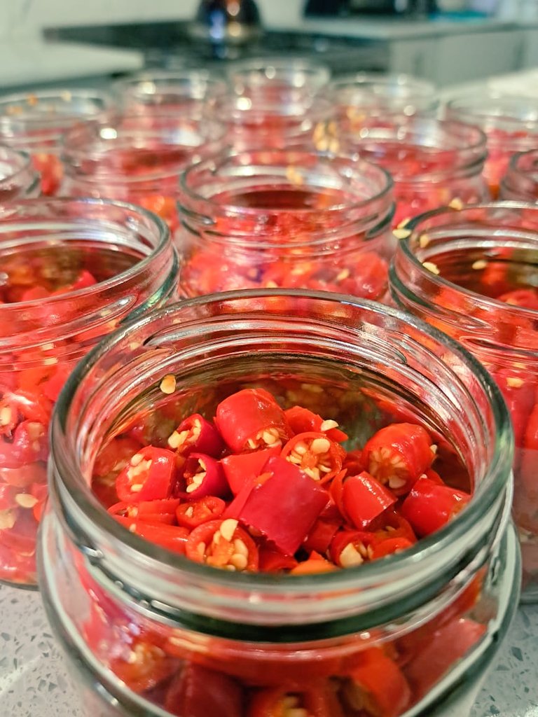 ansarlets's tweet image. Launched my Chilli Jar business 🌶️🌶️🌶️