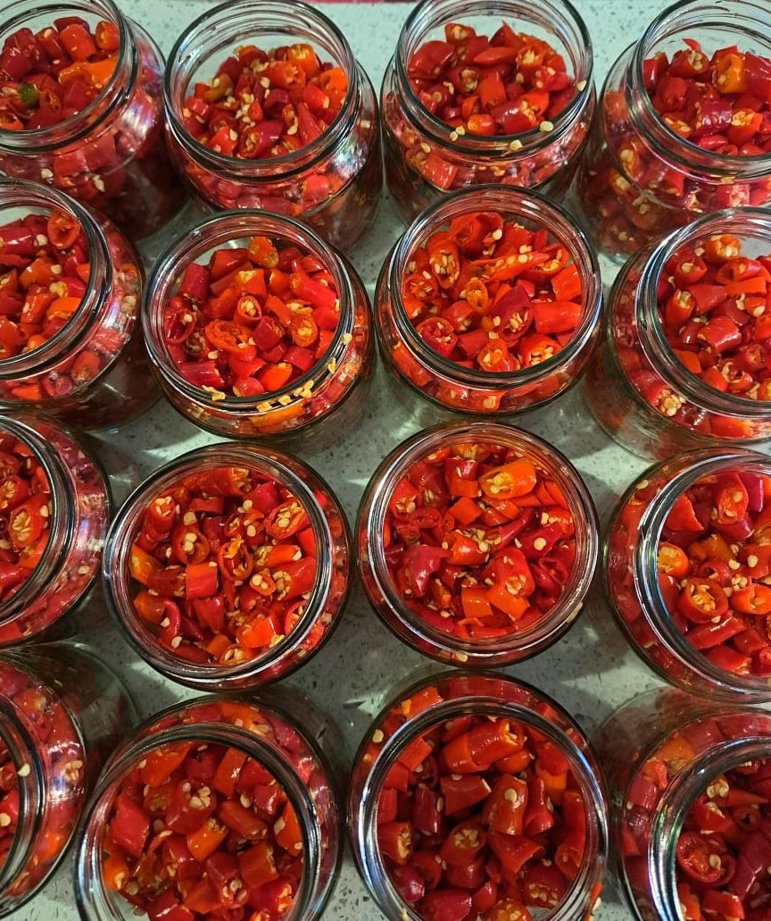 ansarlets's tweet image. Launched my Chilli Jar business 🌶️🌶️🌶️