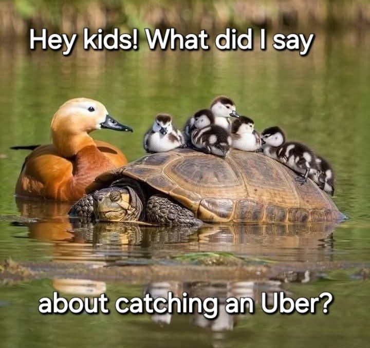 ParkSquareWF5's tweet image. Let us take the weight off in the kitchen today folks. Open 11.30-1.30pm and 4-7.30pm.  Bob in and order or book a collection or a free delivery to Ossett or Horbury by ringing 01924 280278 #chippytea #fishandchips #schoolhouse #WednesdayMotivation