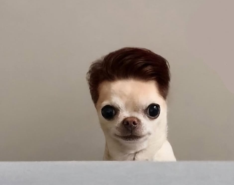 Ragazze alle medie: mamma mia quanto è bono Kevin!

Kevin:
