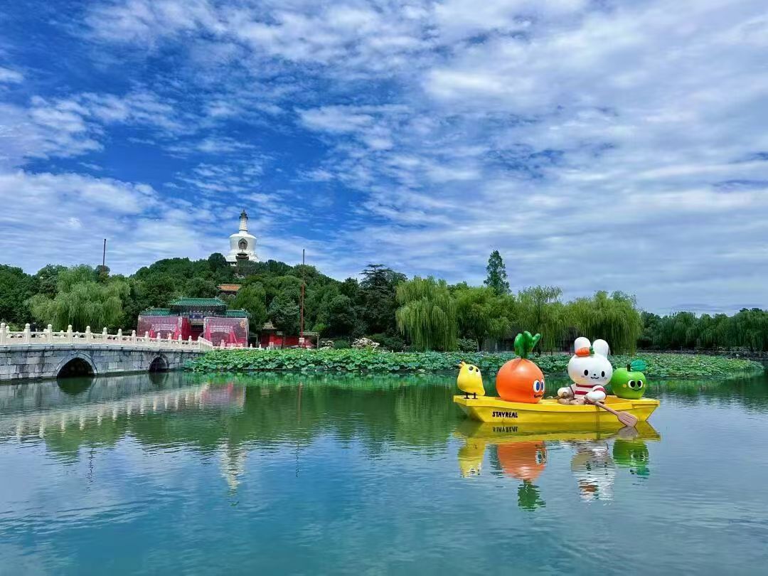 你们有暑假吗？出去旅游了吗？