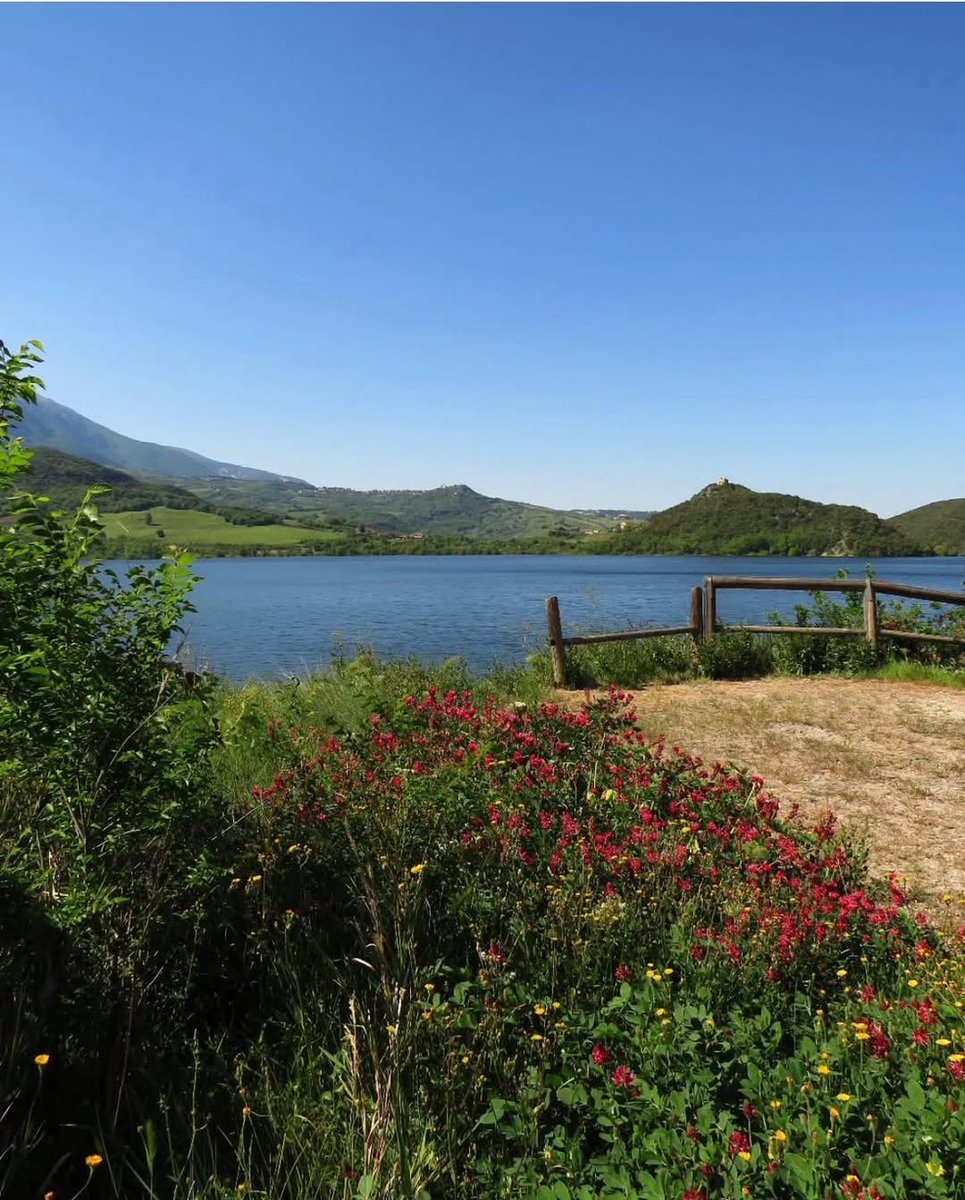Tra i lecci e la Maiella, il Lago di Casoli è un’oasi di pace! Aree di sosta e natura incantata per rigenerarsi nella valle dell’Aventino!
👉 shorturl.at/WPhVf
📷 IG donatellapeschini
#abruzzo #viaggioinabruzzo #estateinabruzzo #lago #lecceta #familytime