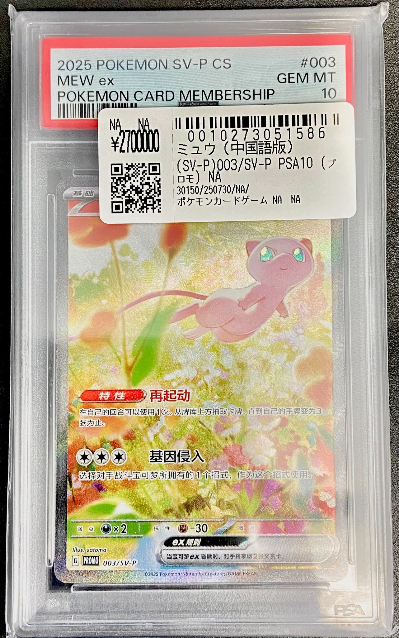 ポケモン - 古着屋E3 d51f0cc2bba3ae4c6cec51b476a6f9
