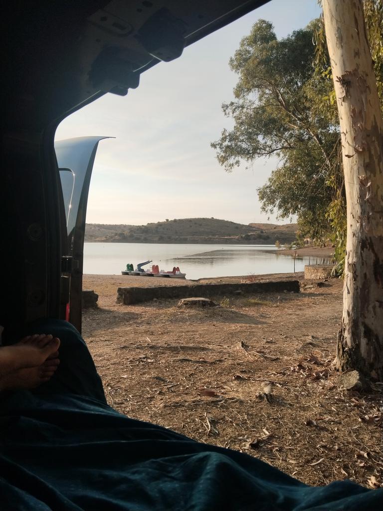 Patri211292's tweet image. Despertar así 🚐♻️🌅 #pazmental