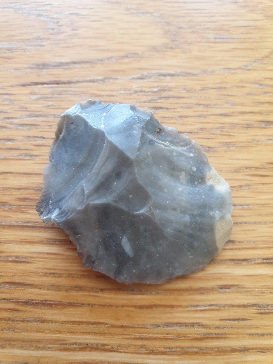 RohanGreyFA's tweet photo. Hello #historians is this a #neolithic scraper? Found in field in suffolk? #history #flinttools https://t.co/Jqd9bgC9yn