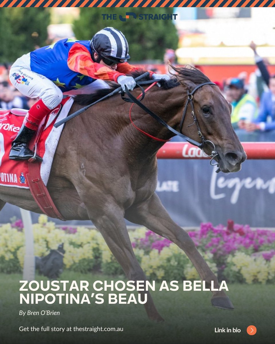 The Everest winner Bella Nipotina will visit Australia’s champion sire Zoustar for her first mating this spring, with managing owner Michael Christian confirming his confidence in the match on both pedigree and physical type.

🔗thestraight.com.au/zoustar-chosen…