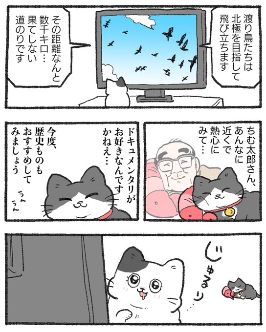 みやねこです　他の方購入しないで下さい GxFwpi4bMAA_RhX.jpg:small