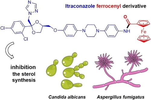 Ken Lo (@bhkenlo) on Twitter photo Synthesis and Biological Evaluation of Itraconazole Derivatives: Design in an Old Scaffold | Inorganic Chemistry pubs.acs.org/doi/10.1021/ac… <a href="/GasserGroup/">Gasser Group</a> and co-workers <a href="/InorgChem/">Inorganic Chemistry</a> #ferrocene #itraconazole #antimicrobial #ERG11 #azoles Synthesis and Biological Evaluation of Itraconazole Derivatives: Design in an Old Scaffold | Inorganic Chemistry pubs.acs.org/doi/10.1021/ac… <a href="/GasserGroup/">Gasser Group</a> and co-workers <a href="/InorgChem/">Inorganic Chemistry</a> #ferrocene #itraconazole #antimicrobial #ERG11 #azoles