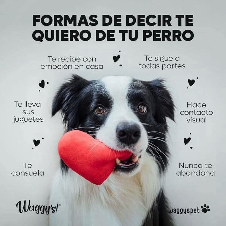 Feliz miércoles! <a href="/nydiacervera/">Nydia Cervera</a> <a href="/Marilu86053/">Marilú 💕🐘🐘🐘💕 🇲🇽</a> <a href="/addy_pink/">Pinky</a> <a href="/U_PLATEROS/">UH Plateros</a> <a href="/antymob/">Miss Anty Mobarak</a> <a href="/mtz_tt/">B€TT¥ ツ</a> <a href="/DaliaMRocha/">Yaya Rocha</a> <a href="/EYACAR65/">EYA</a> <a href="/EsEstra/">A L I 🐾</a> <a href="/lasaguis/">lasg</a> <a href="/LETICIA777/">LETICIA TORRES</a> <a href="/Negra_start/">Ⓝⓔⓖⓡⓐ</a> @JohannaLizalde <a href="/rumabo1/">Pata perruna 🐾🐾</a> <a href="/MARLENE_STAHL/">MARLENE 🦋</a> <a href="/Hera_Sea/">★ FRECDA, CAPÍTULO SAN LUIS POTOSÍ</a> <a href="/Vivalyk/">♓⭐🍒 Bárbariux  🍒⭐❤&💫</a> <a href="/akyoshi09/">Fabiola</a> <a href="/hidra881/">Teresa Velazquez Rodriguez</a> <a href="/duky1107/">Claudia</a> @Pip <a href="/CasLaaU/">Soy Lau. 💜🍉</a> <a href="/MxActivista/">🐾ActivistaMX🌎</a> <a href="/1pantonio/">Antonio Palacios: Las mujeres no tienen pene</a>