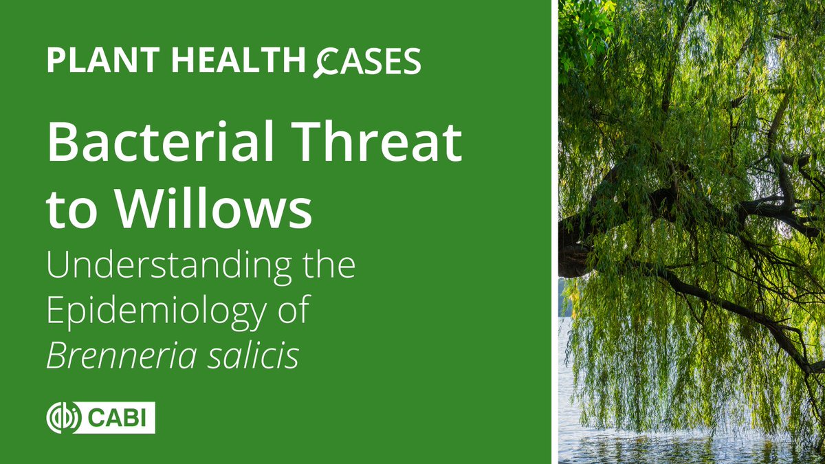 CABI Knowledge tweet media