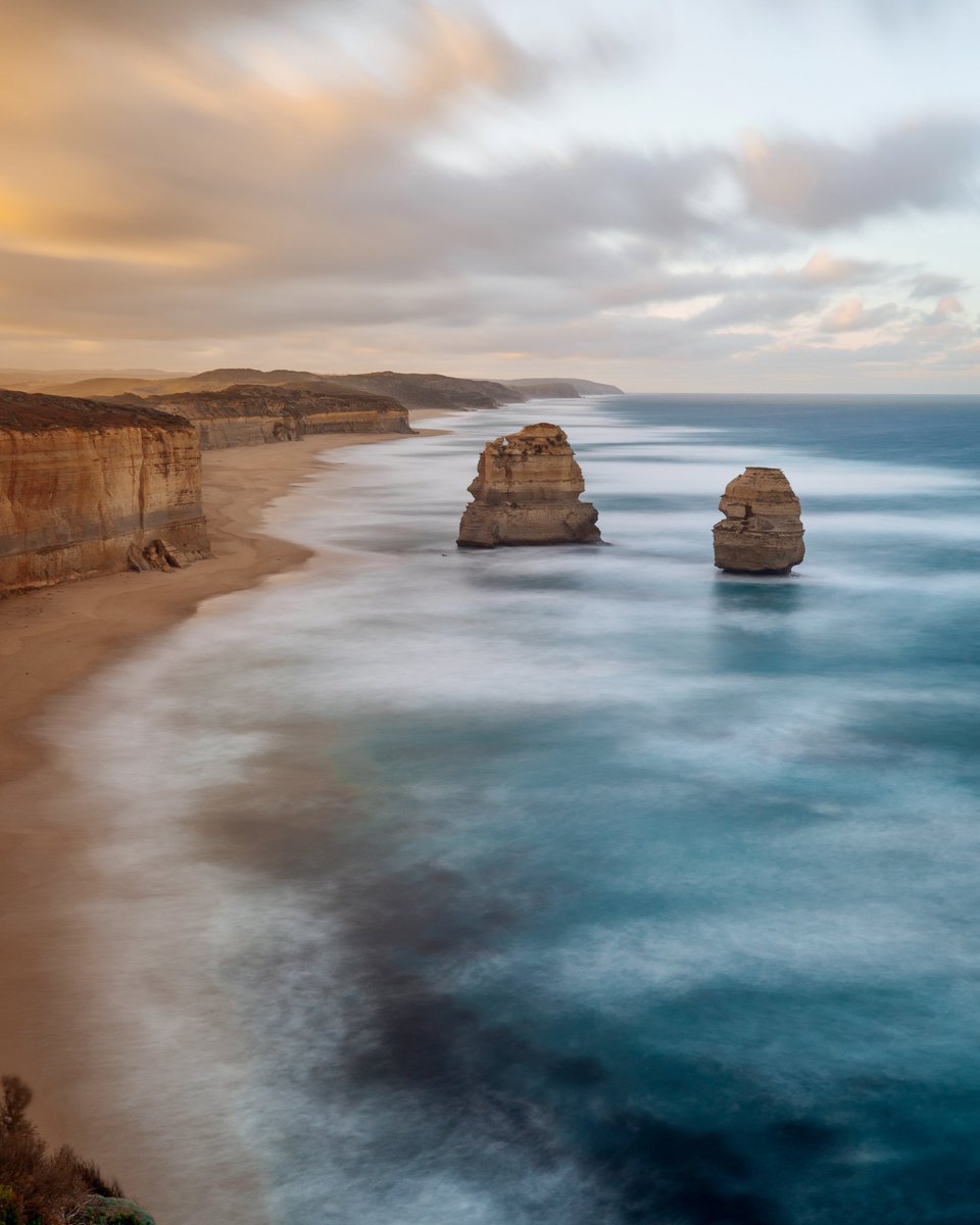 in_focus_studios tweet media