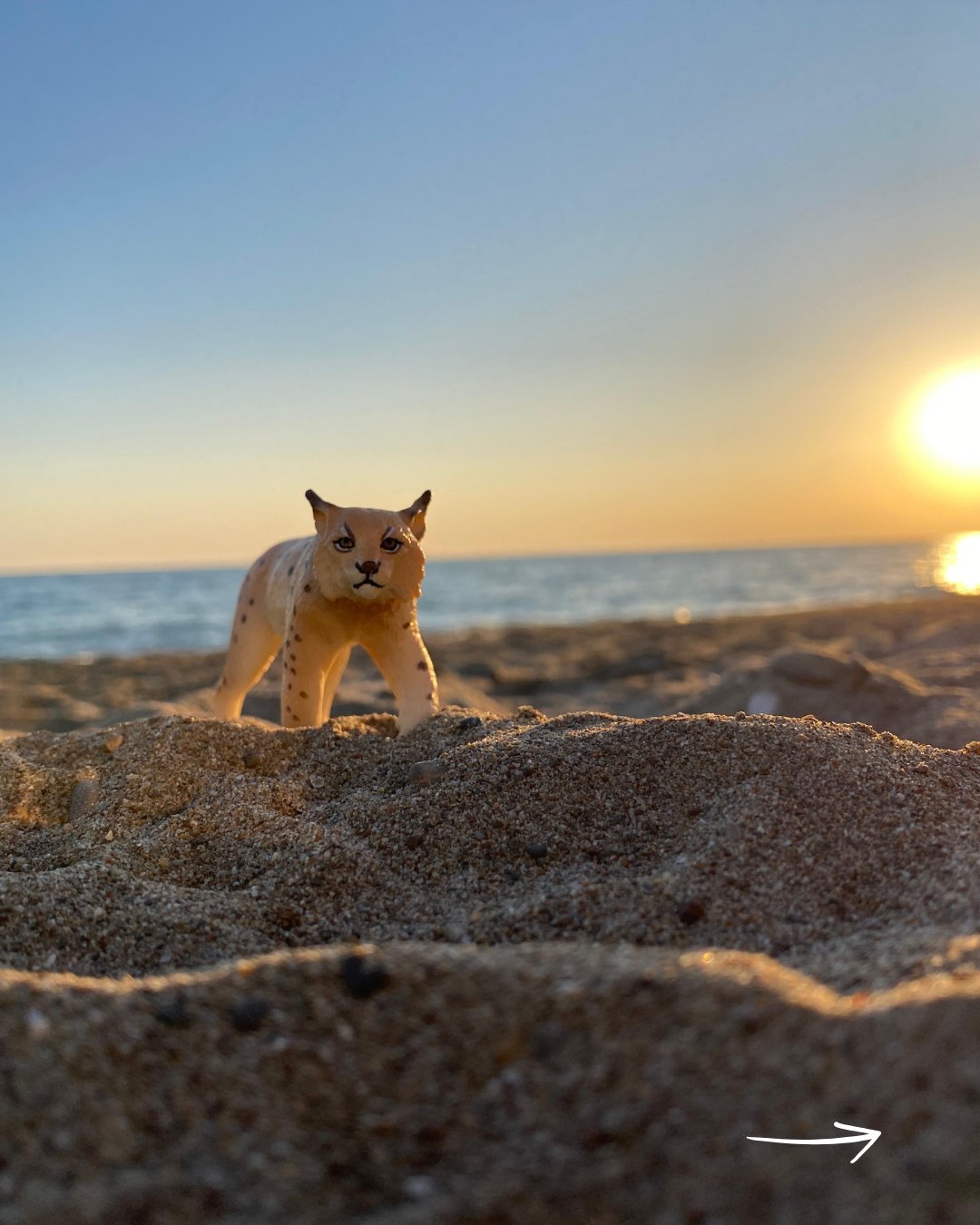 【匿名発送】【新品未使用】シュライヒ　豪華4点セット Schleich Japan シュライヒジャパン (@Schleich_jp) / X