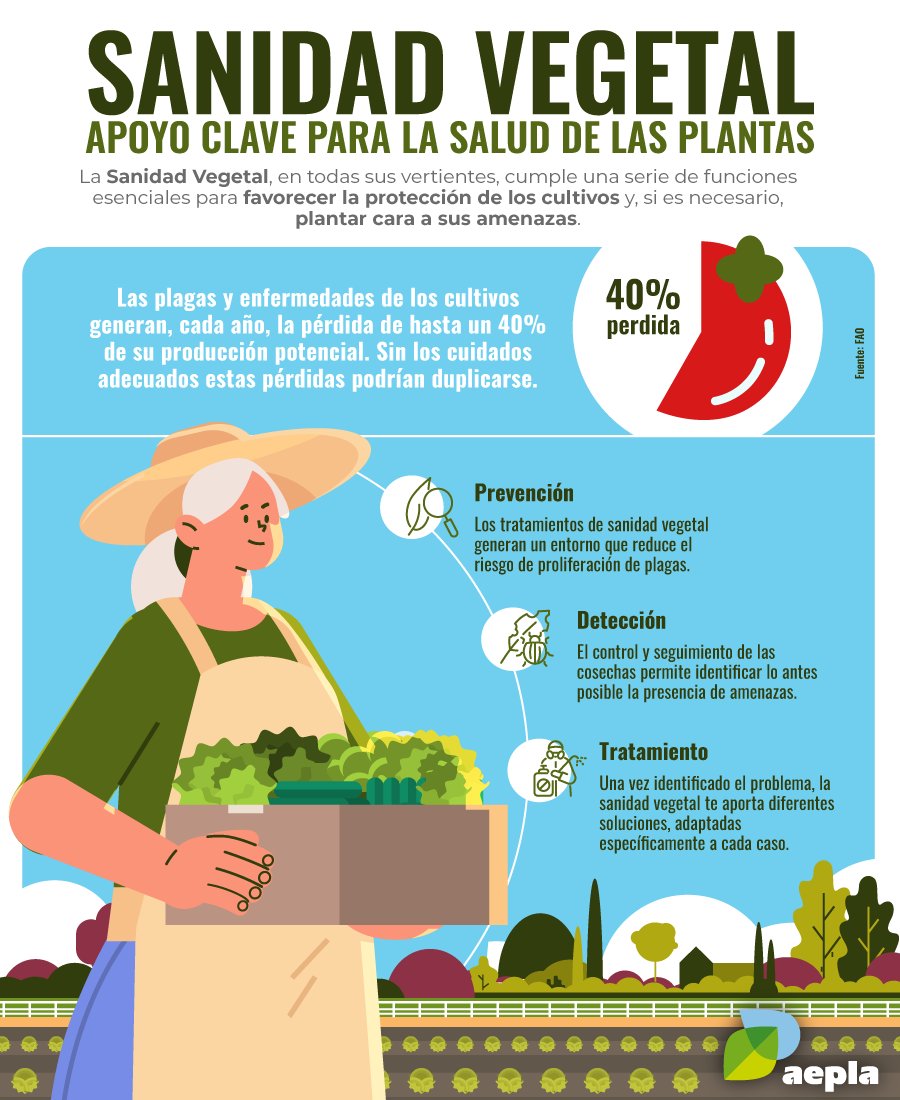 Aunque en ocasiones no se le otorga la importancia que merece, la sanidad vegetal 🌱🔍 es un instrumento básico para garantizar el presente y futuro de nuestra agricultura 💚