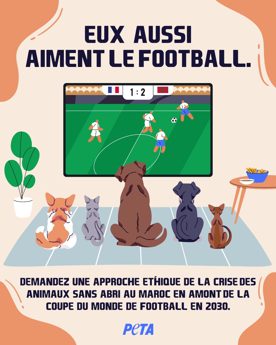 🐕 Alors que le #Maroc se prépare à accueillir la Coupe du monde de football 2030, des chats et des chiens sans abri sont abattus dans les rues et laissés à l'abandon dans des cages. #FIFAWorldCup 

🚨 Demandez à la <a href="/fifaworldcup_fr/">Coupe du Monde de la FIFA 🏆</a> d'agir et de mettre fin à ce massacre !