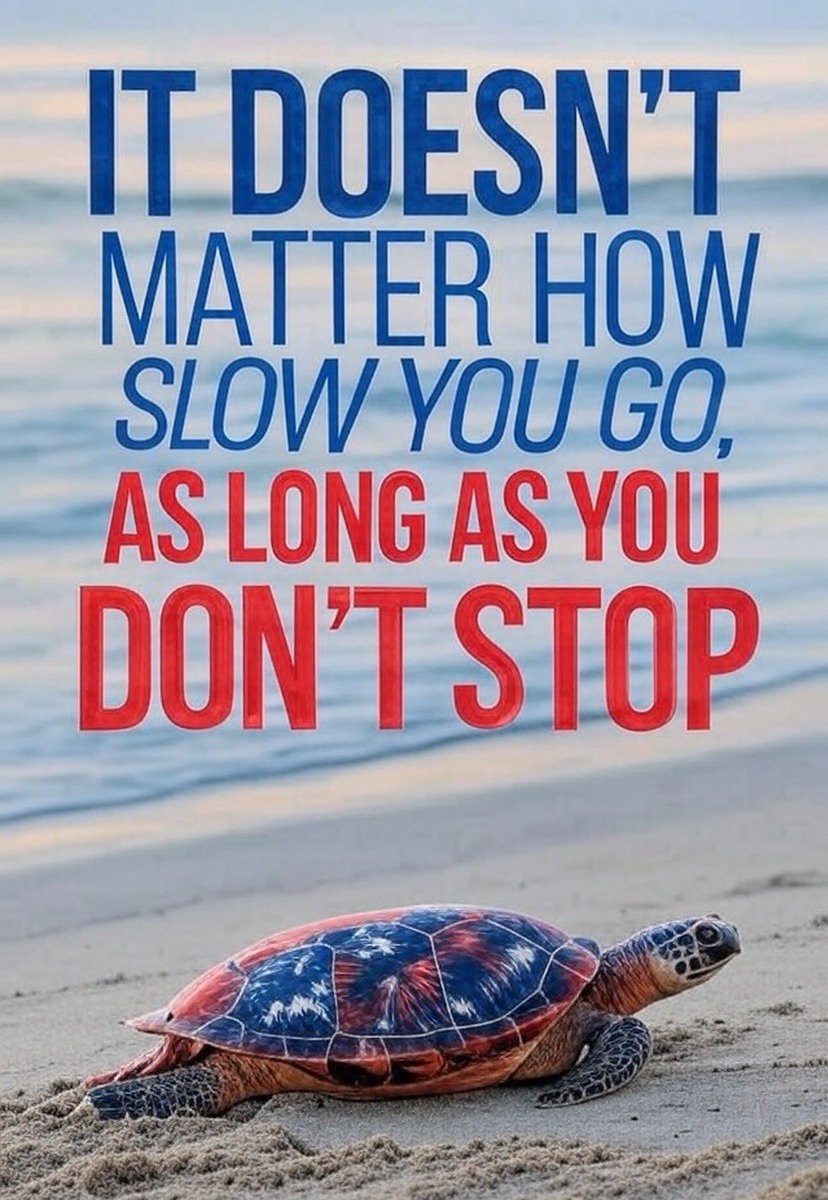 🇺🇸Patriots🇺🇸

Keep pushing forward! Every step counts as long as you never stop moving toward your goals!

Never give up, never stop fighting! 

God bless you and have an amazing day!❤️