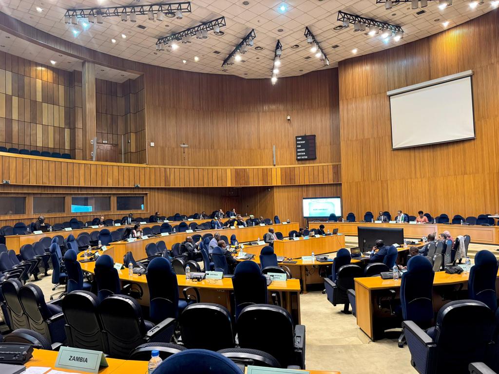 Today, I was delighted to address the opening session of the <a href="/_AfricanUnion/">African Union</a>  @AFCONE Awareness-Raising Meeting on Weapons of Mass Destruction #WMD #Disarmament and #Nonproliferation on behalf of HE Commissioner <a href="/Bankole_Adeoye/">Amb. Bankole Adeoye</a> <a href="/AUC_PAPS/">African Union Political Affairs Peace and Security</a>
<a href="/UNOAU_/">UN Office to the African Union - UNOAU</a>
#Agenda2063 #SilencingtheGuns