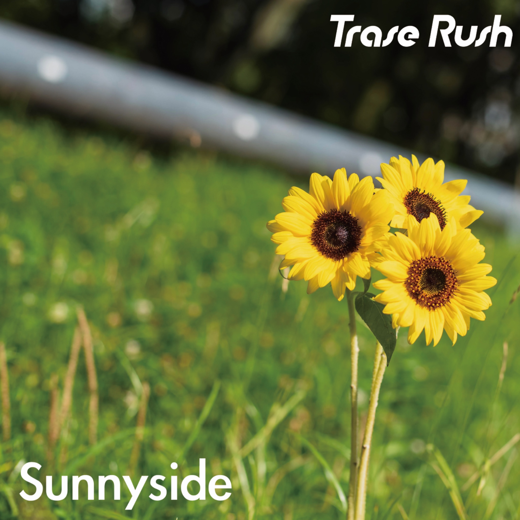 にゃ Trase Rush 1st demo Trase Rush (@traserush_ngy) / X