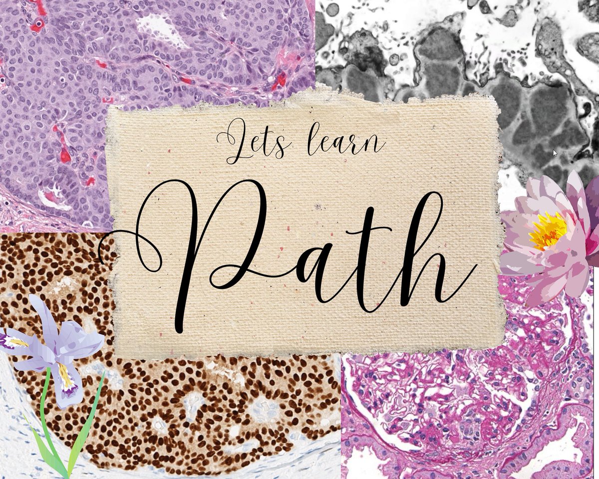 Geetsnotes's tweet image. 