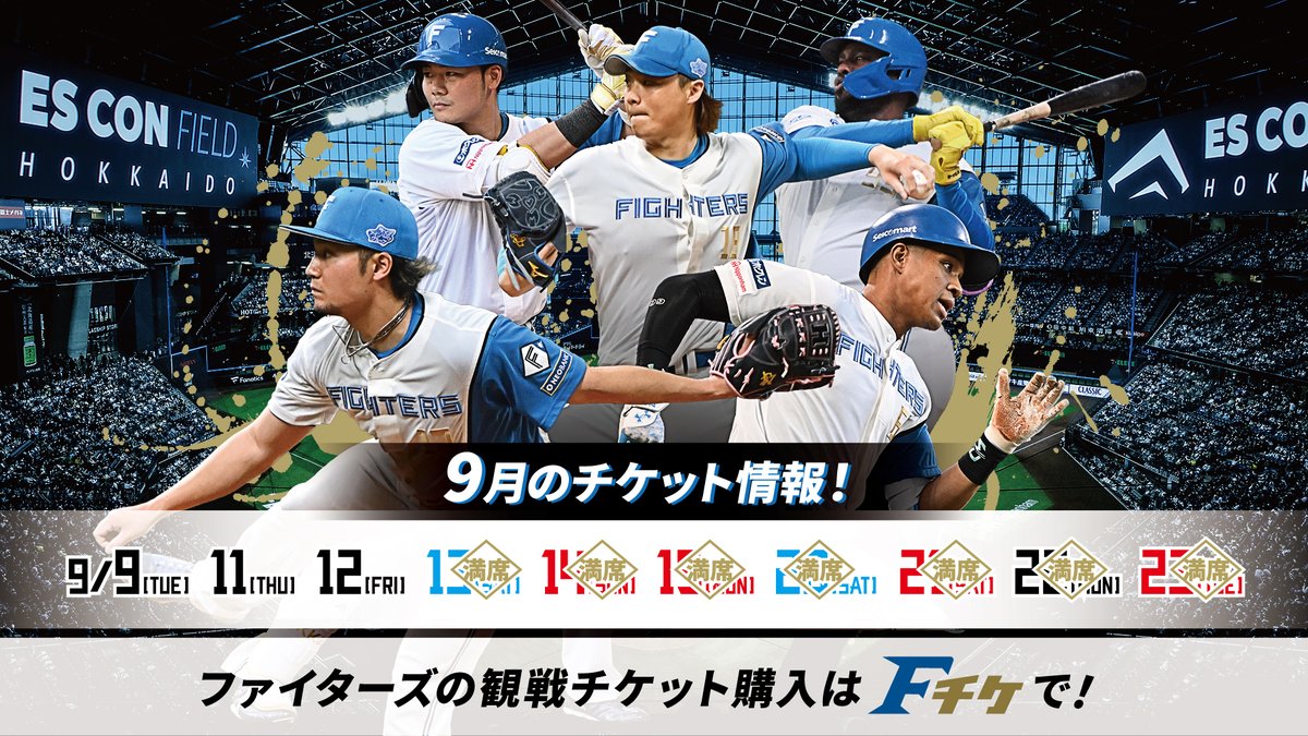 2025年9月23日エスコン 日ハムVS楽天 スターレベル一塁側内野席 ペア