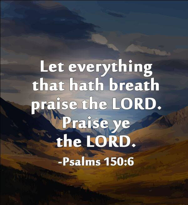 dicklawfirm's tweet image. #DailyGratitude #SunshineTherapy #BuildingMoon #WaxingVibes