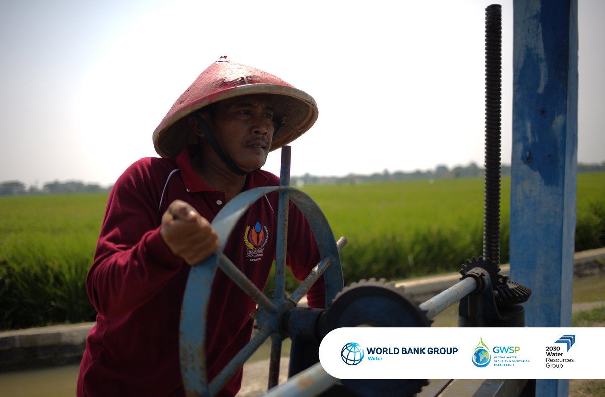 GWSP (@thegwsp) on Twitter photo Darta Ego, an Indonesian farmer, shares how support from <a href="/WorldBank/">World Bank</a> is helping 350,000 farmers adopt innovative methods to combat #water scarcity, increase yields, and build resilience to climate change. Read more in our story: wrld.bg/5Bpf50UKMLN Darta Ego, an Indonesian farmer, shares how support from <a href="/WorldBank/">World Bank</a> is helping 350,000 farmers adopt innovative methods to combat #water scarcity, increase yields, and build resilience to climate change. Read more in our story: wrld.bg/5Bpf50UKMLN