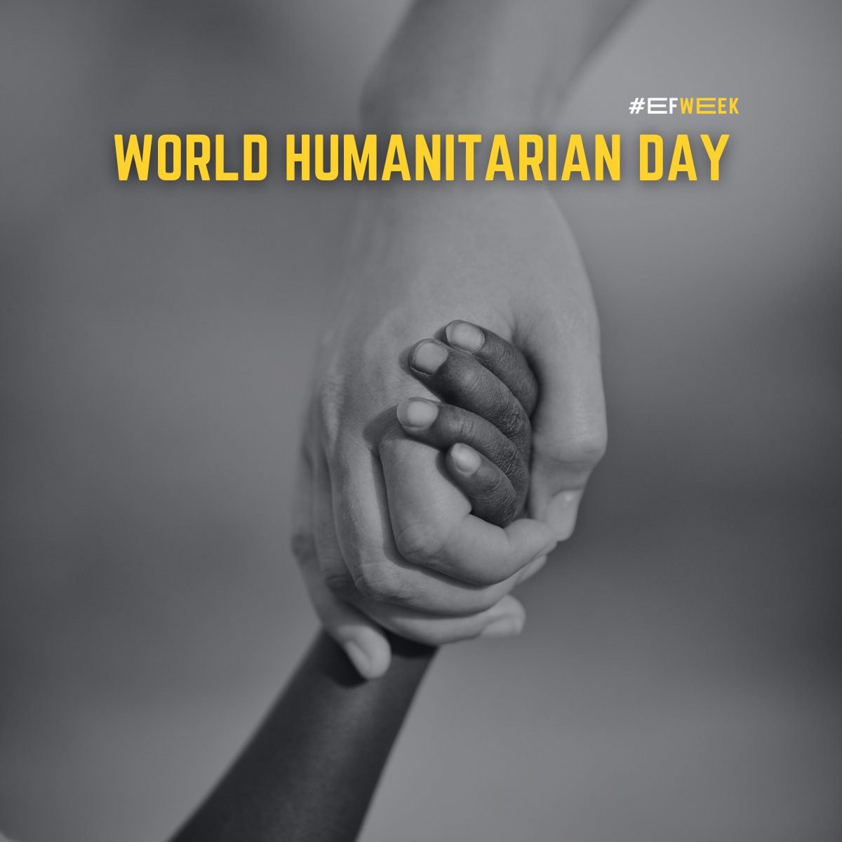 Humanitarian work is hard. It’s vital.

Today we thank the freelancers who contribute to this work; on the ground, behind the scenes, across the world.

Your support matters. Your work matters.