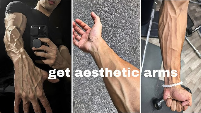 Want veiny arms and rock-hard blood flow?

Fix your hormones, diet, and circulation from the inside out.

Here’s how to naturally supercharge blood flow and get vascular FAST: 🧵