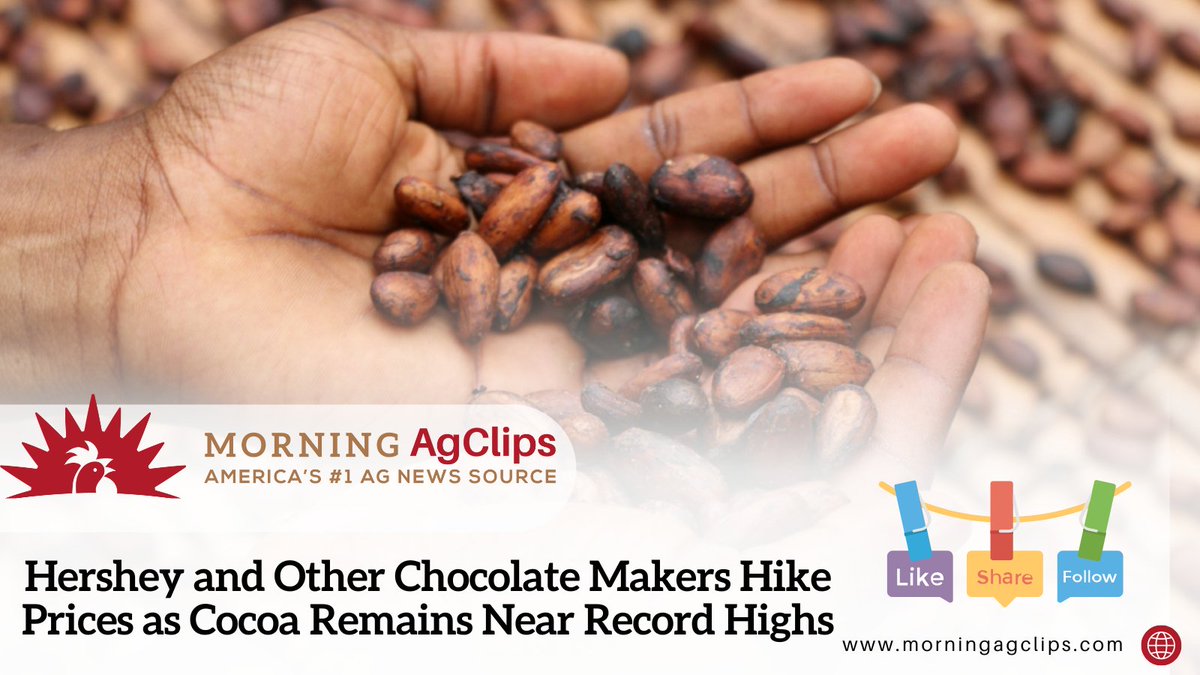 “This change is not related to tariffs or trade policies. It reflects the reality of rising ingredient costs including the unprecedented cost of cocoa,” Hershey said in a statement. What does this mean?

Read on: hubs.ly/Q03z41dw0

#hersheys #chocolate #candy #foodprices