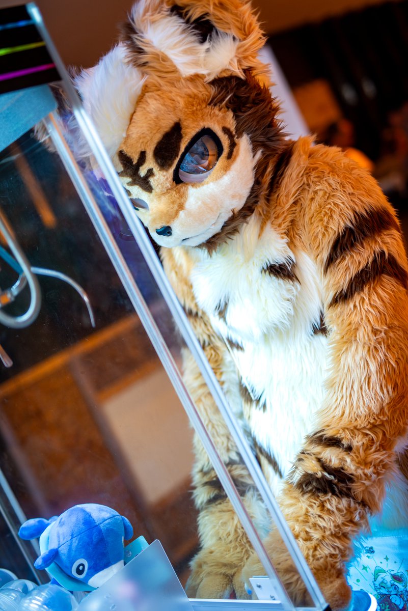 让我看看有什么好东西！

📷： @殁卡Moka
#furryEveryday