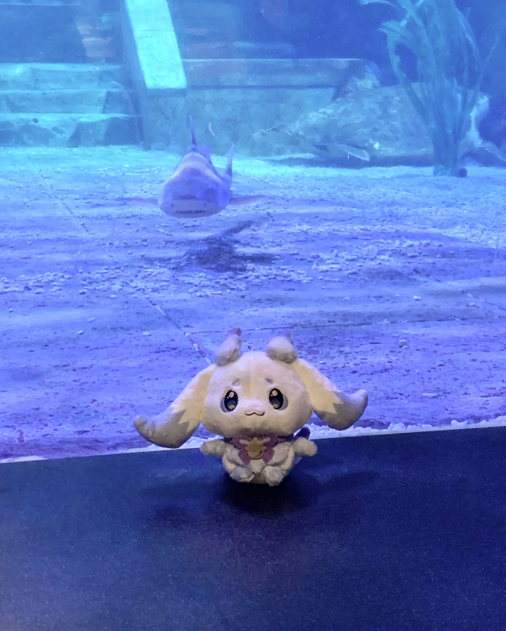 るんるんページ Amazon.co.jp: ぺんてる 修正ペン スリム 油性・水性インキ両用