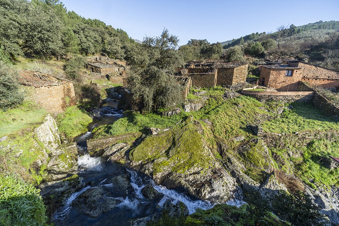 albertofm_.d tweet media