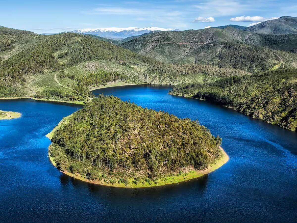 albertofm_.d tweet media