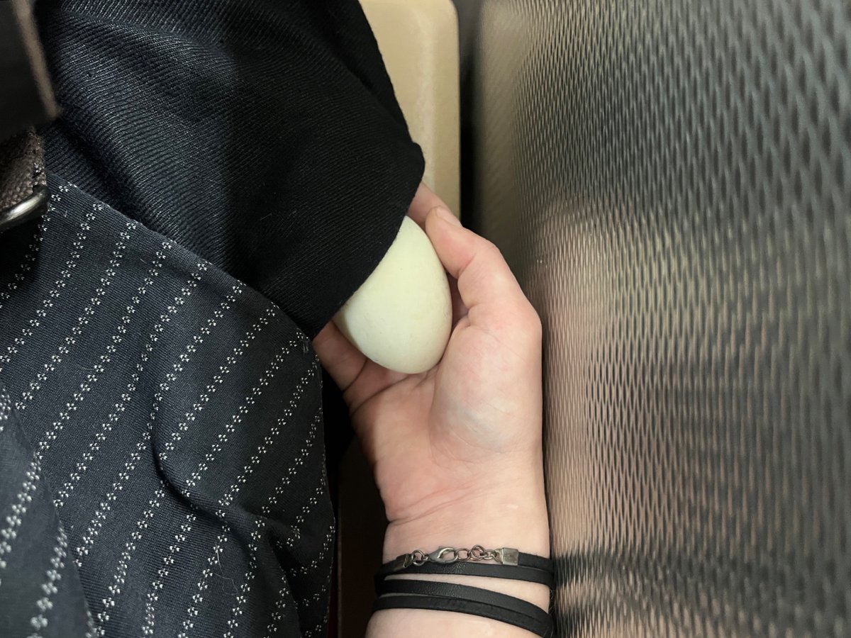 _matplotlib's tweet image. pocket egg has RETURNED