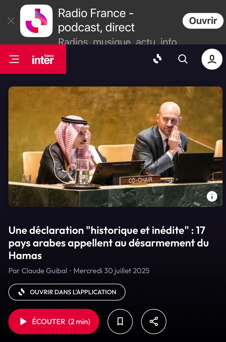 L’Arabie saoudite, le Qatar, l’Egypte, les Émirats arabes unis, la Jordanie, la Turquie, l’Indonésie, demandent au Hamas, dans une déclaration conjointe, de déposer les armes.
Sauf à considérer que ces pays musulmans soient des sionistes génocidaires et islamophobes, il peut