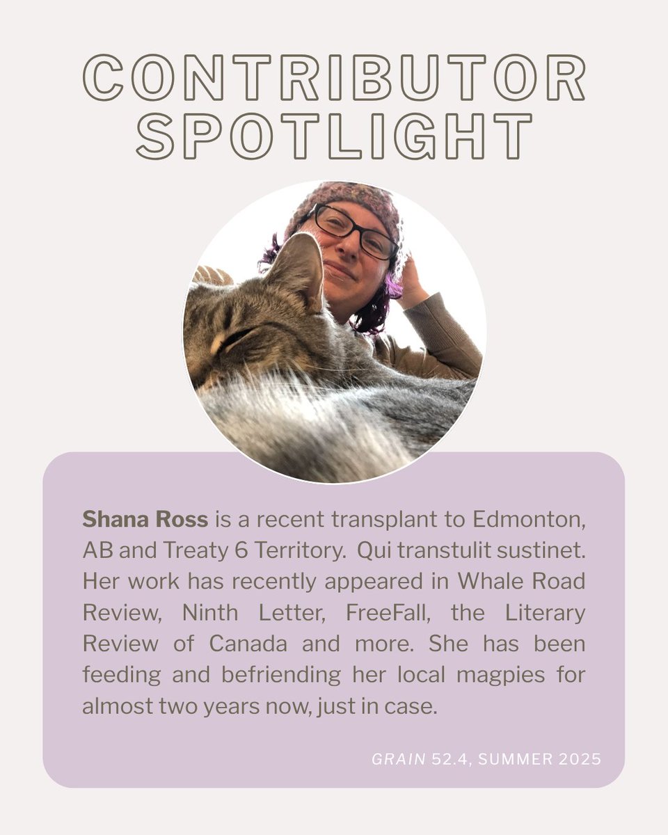 52.4 CONTRIBUTOR SPOTLIGHT: SHANA ROSS!