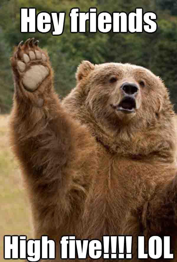 🐻 Bear 🌼 (@bearposting) on Twitter photo 