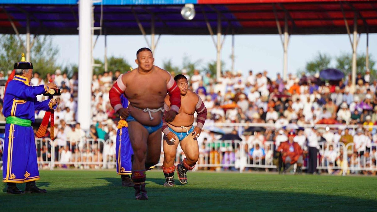 Унасан ч гэсэн унаатай болсон хүний царай 😂